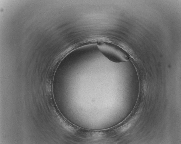 X0000062140841200512161215