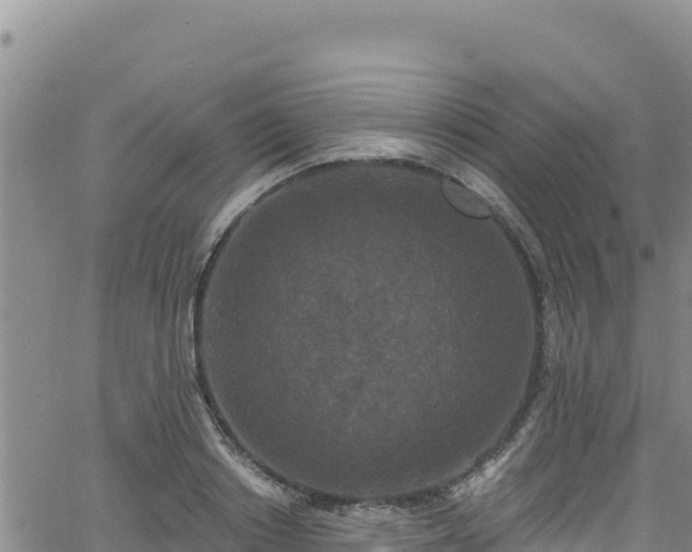 X0000062140842200512161215