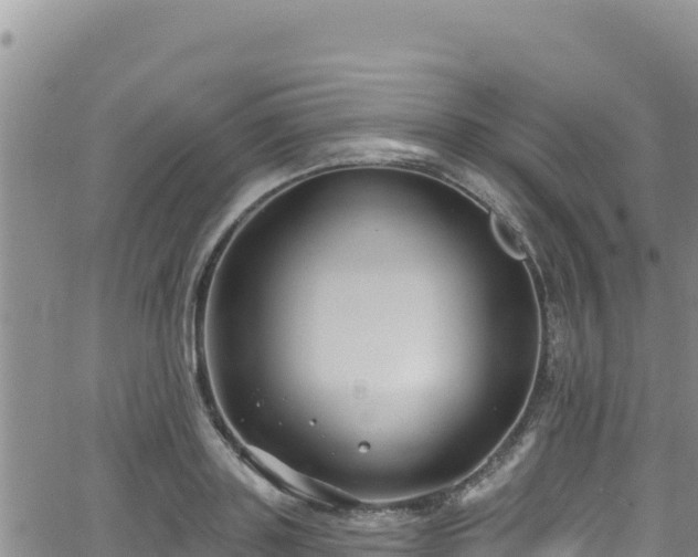 X0000062140843200512161215