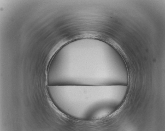 X0000062140844200512161215