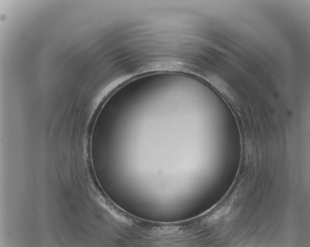 X0000062140846200512161215