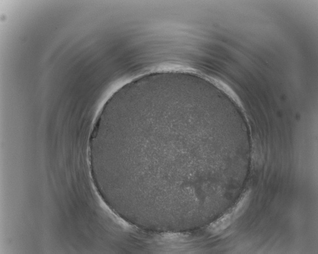 X0000062140847200512161216