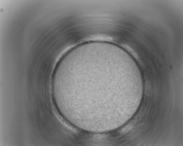 X0000062140848200512161216