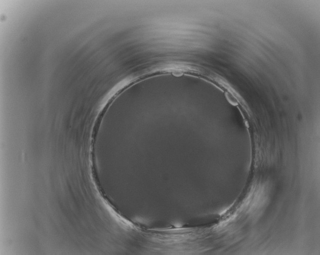 X0000062140853200512161216