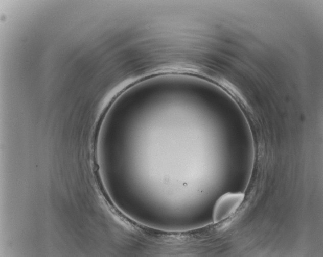 X0000062140854200512161216