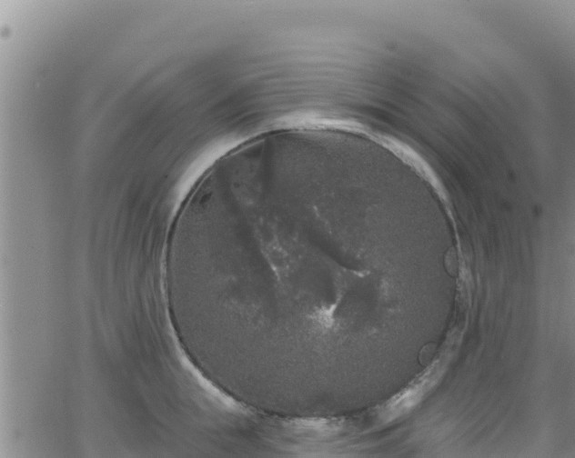 X0000062140855200512161216