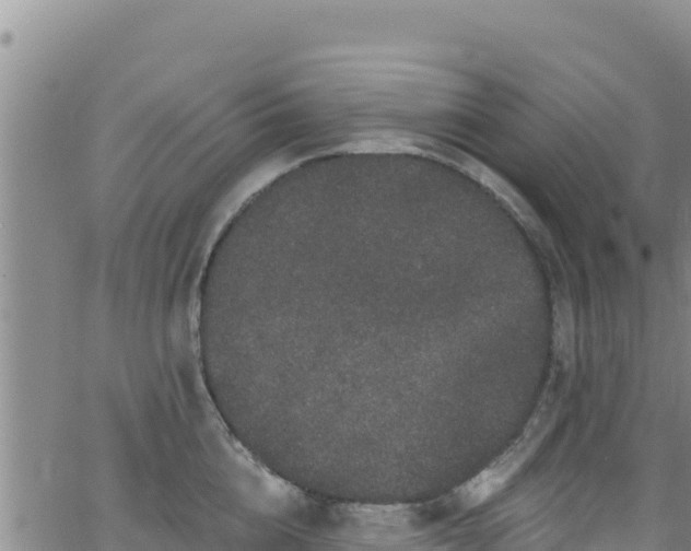 X0000062140856200512161216