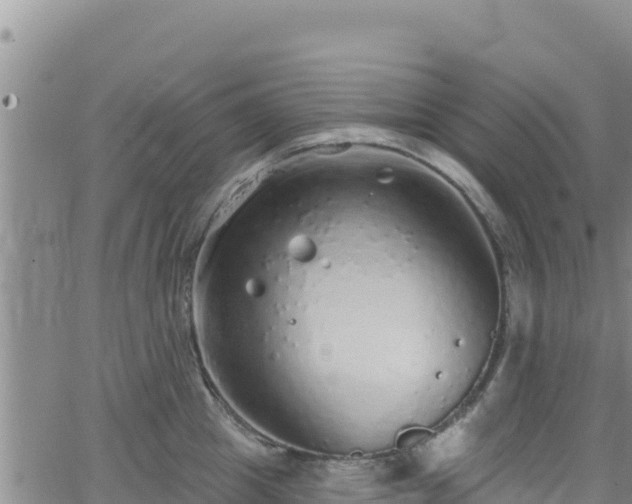 X0000062140857200512161216