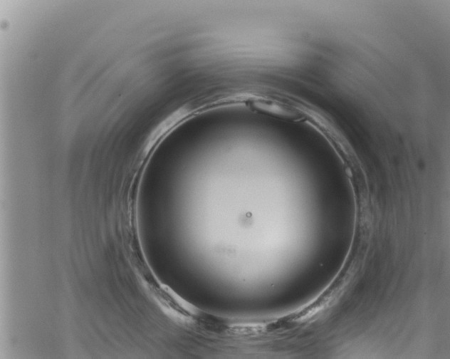 X0000062140858200512161216