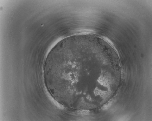 X0000062140859200512161216