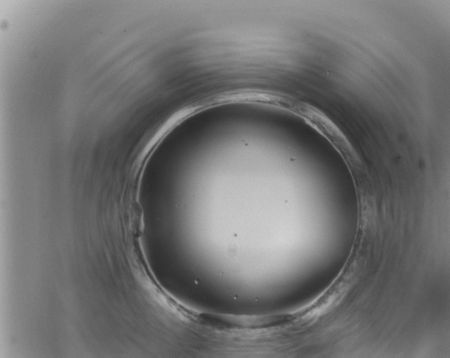 X0000062140860200512161216