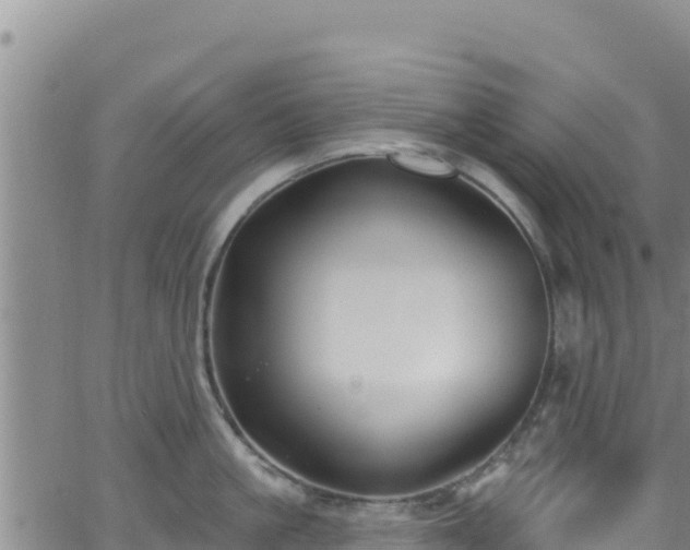 X0000062140861200512161216