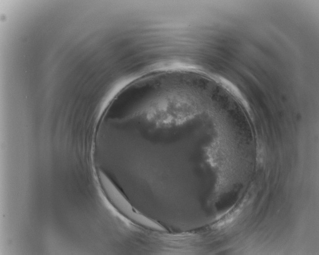 X0000062140863200512161216