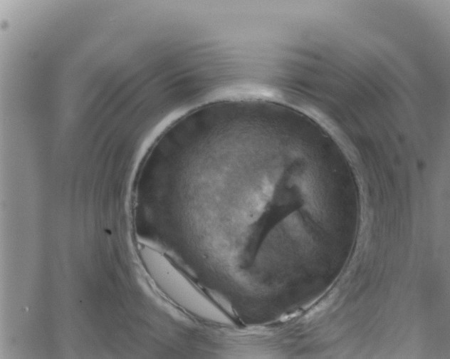 X0000062140864200512161216