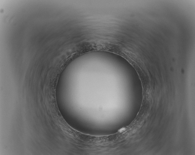 X0000062140865200512161215