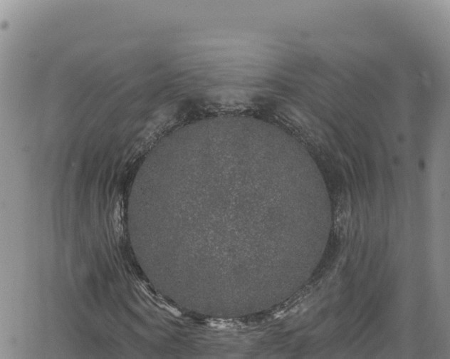 X0000062140866200512161215