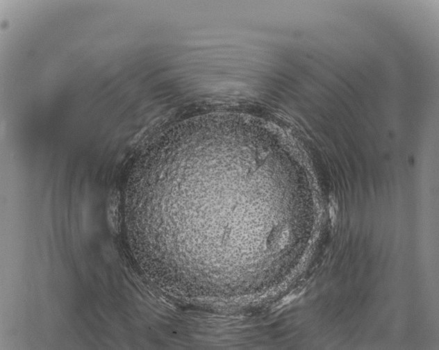 X0000062140867200512161215