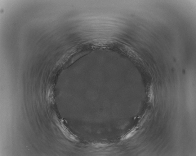 X0000062140868200512161215