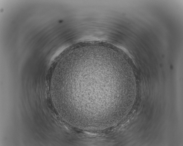 X0000062140871200512161215