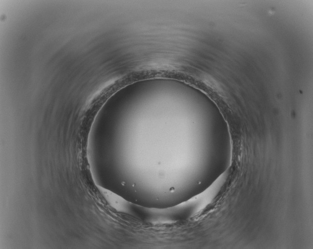 X0000062140872200512161215