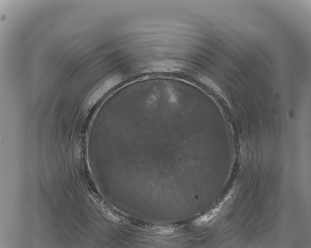 X0000062140874200512161215