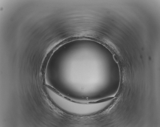 X0000062140876200512161215