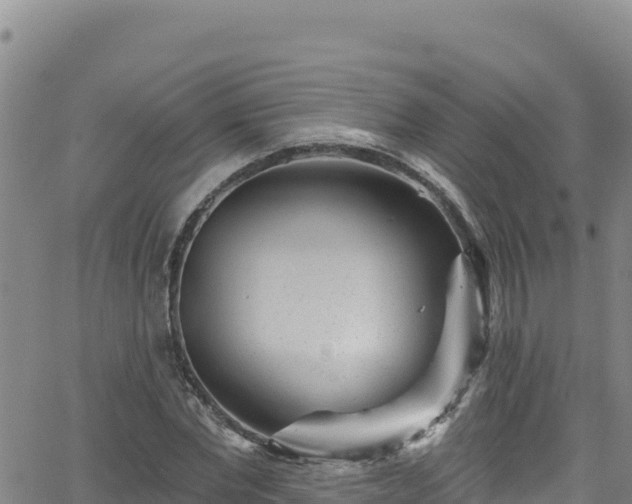 X0000062140877200512161215