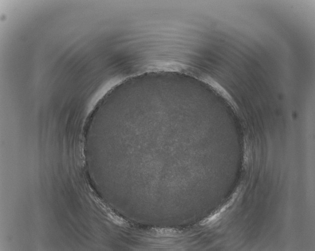 X0000062140878200512161215