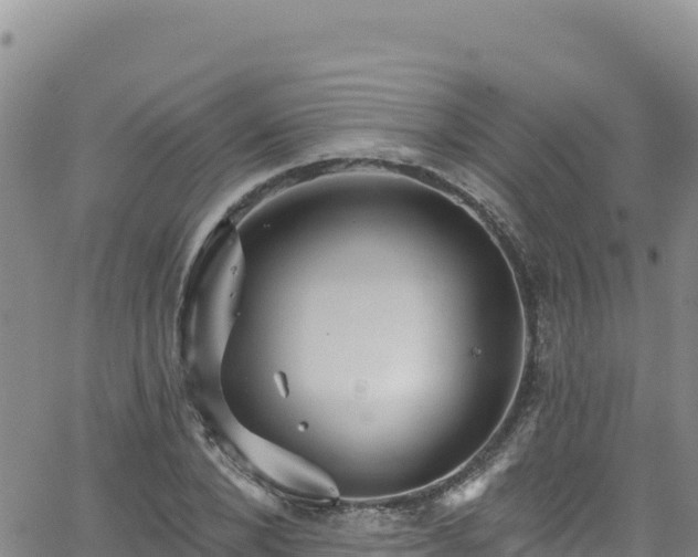 X0000062140880200512161215