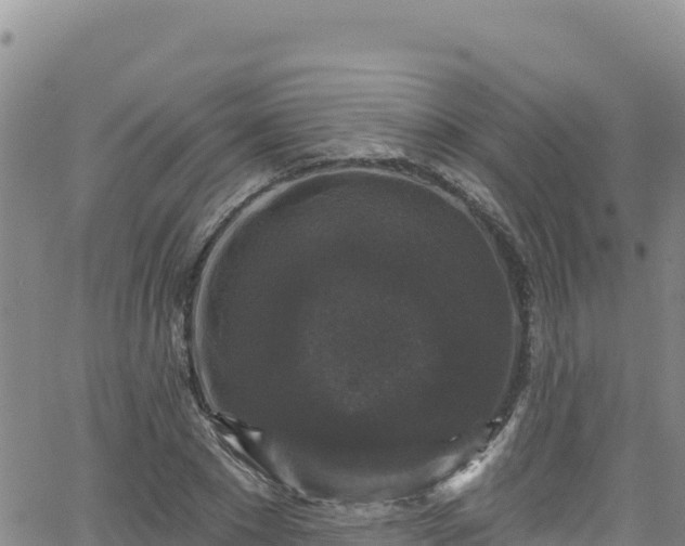 X0000062140881200512161215