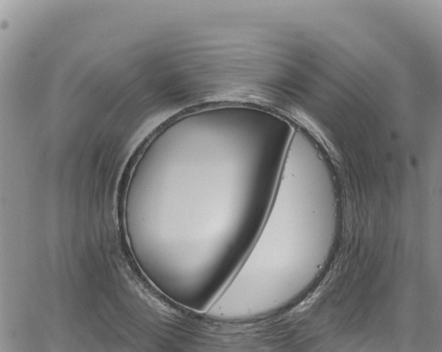 X0000062140884200512161215