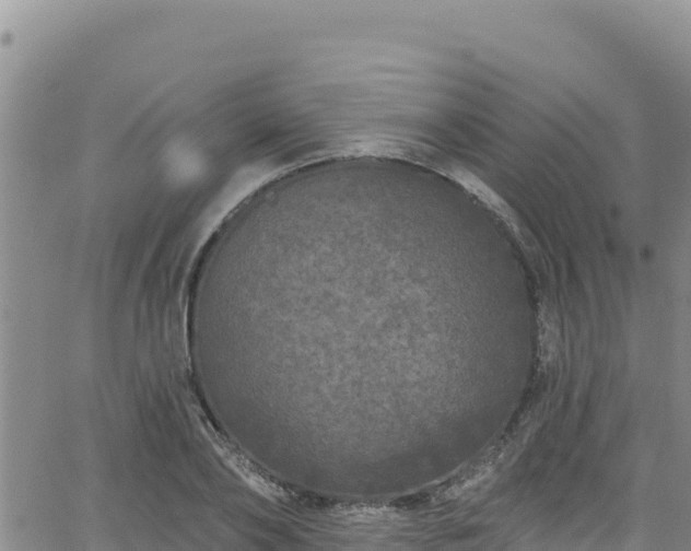 X0000062140886200512161215