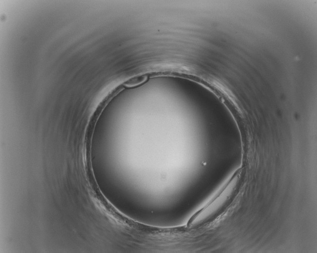 X0000062140888200512161215