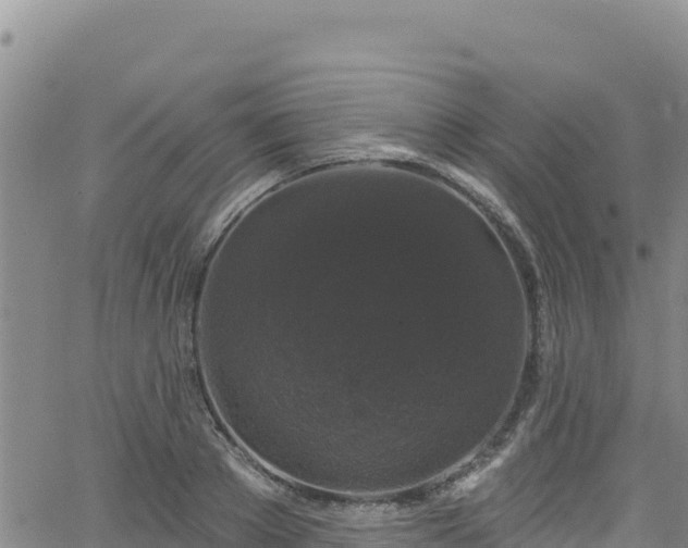 X0000062140889200512161215