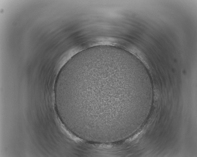 X0000062140890200512161215