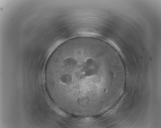 X0000062140891200512161215