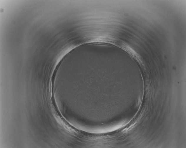 X0000062140892200512161215