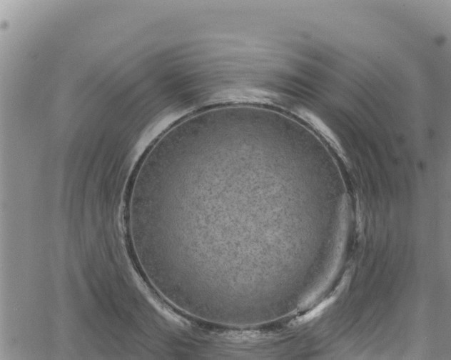 X0000062140893200512161215