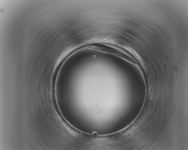 X0000062140894200512161215