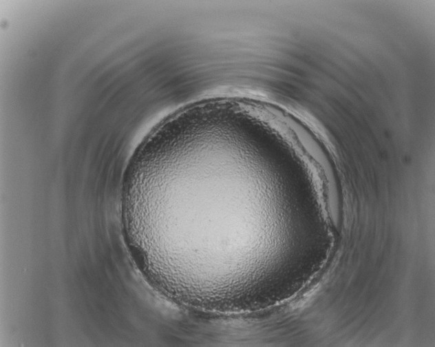 X0000062140896200512161214