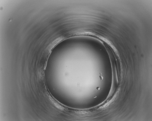 X0000062140897200512161214