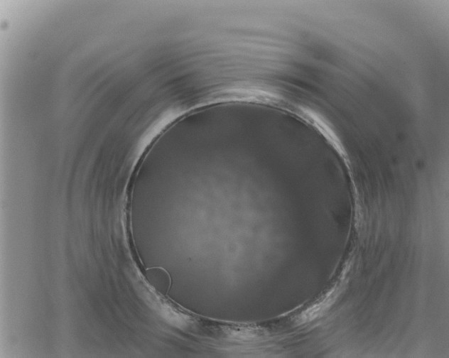 X0000062140899200512161214