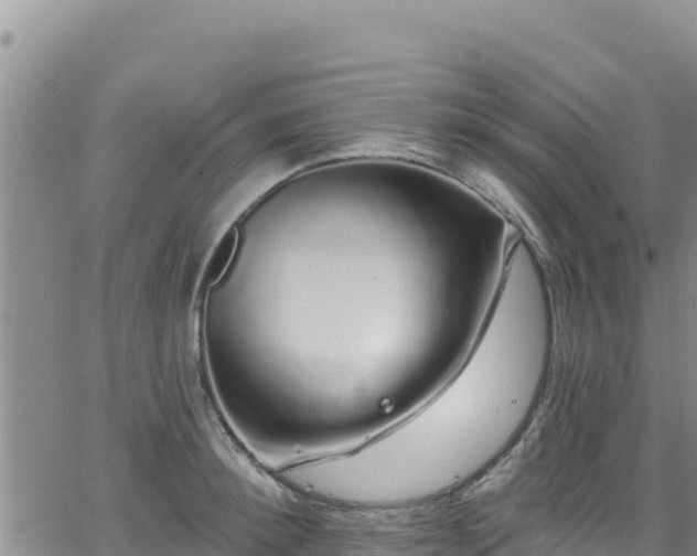 X0000062140900200512161214