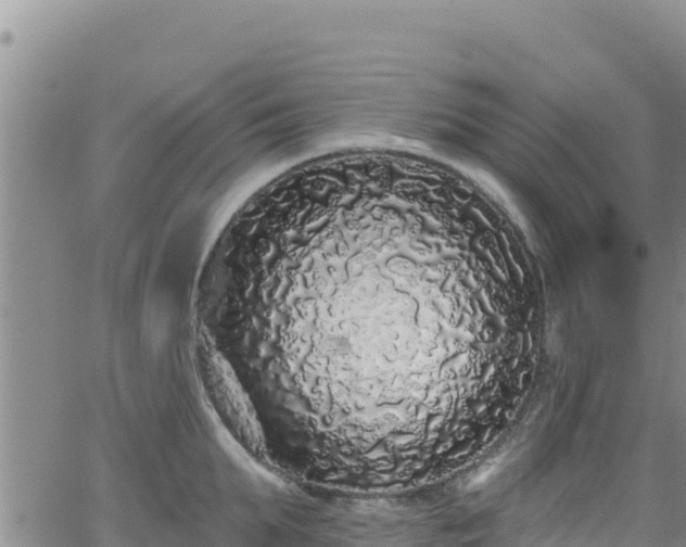 X0000062140903200512161214