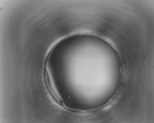 X0000062140904200512161214