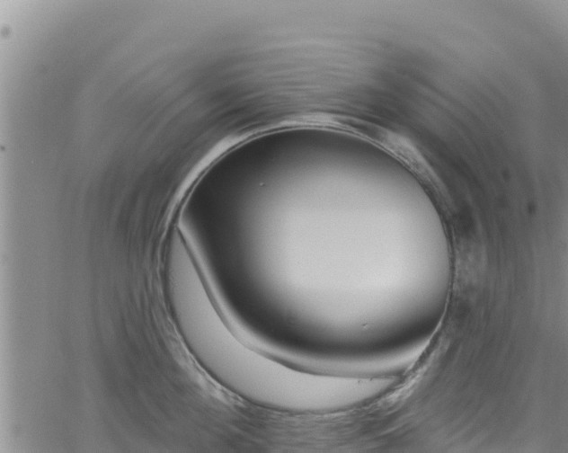 X0000062140908200512161214