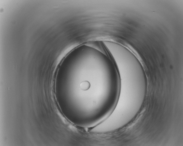 X0000062140909200512161214