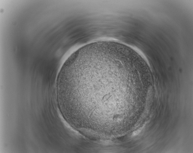 X0000062140911200512161214