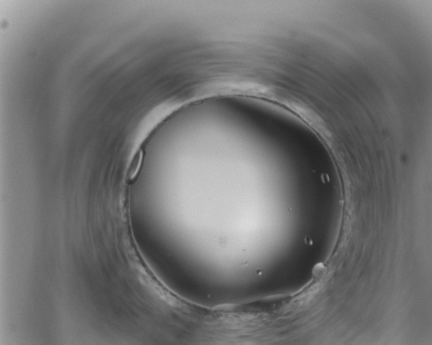 X0000062140912200512161214