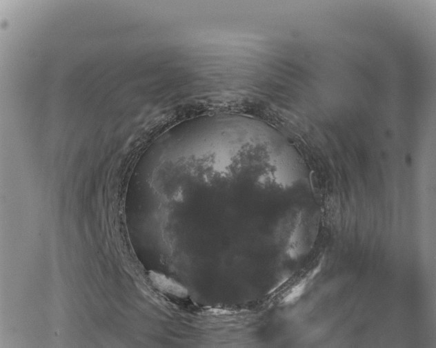 X0000062140913200512161213